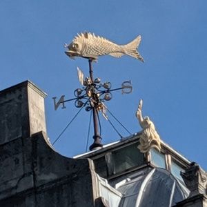 Meet your Posher, Gary